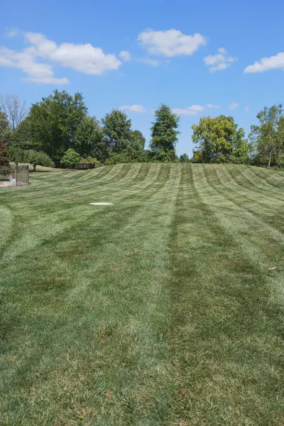 Our Work