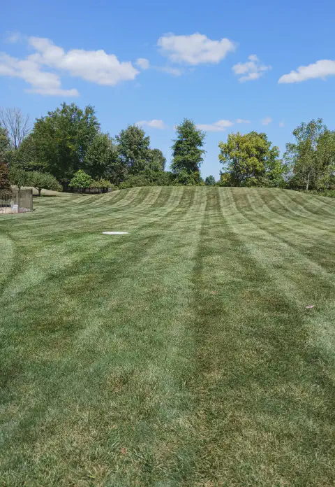 Our Work