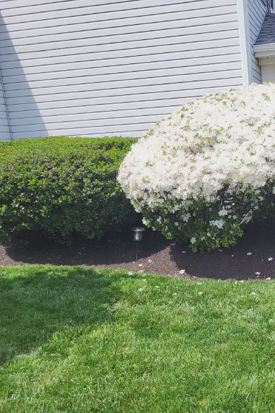 Our Work