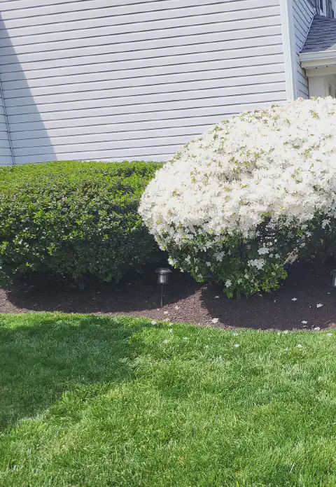 Our Work