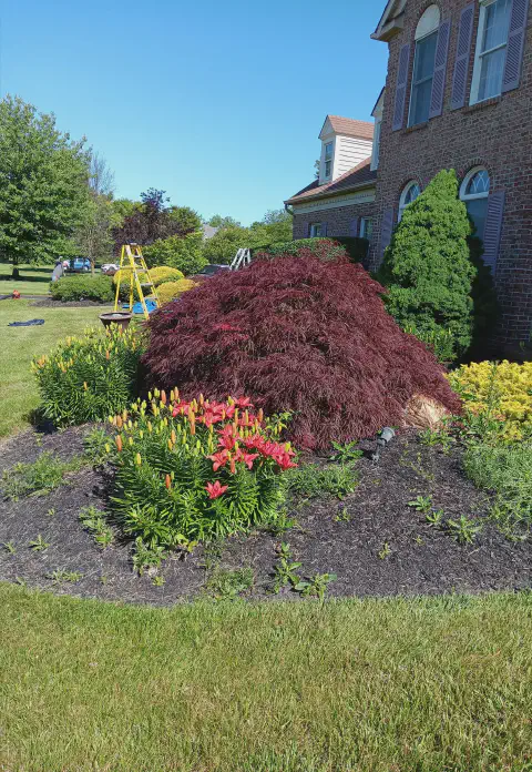 Our Work