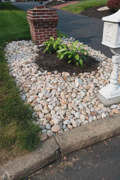 Our Work