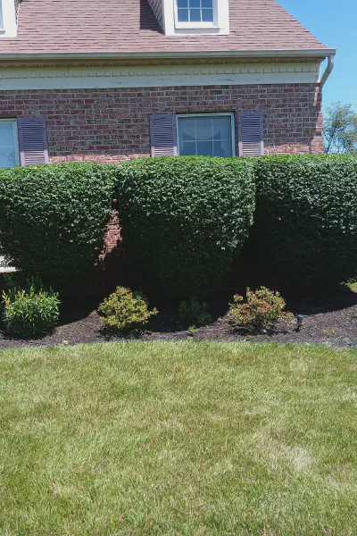 Our Work