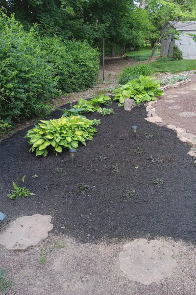 Our Work