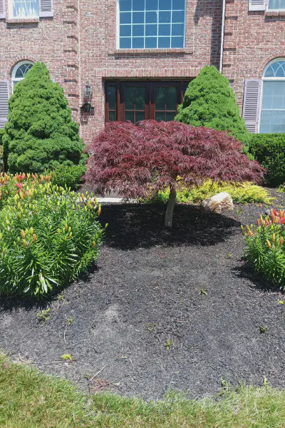 Our Work