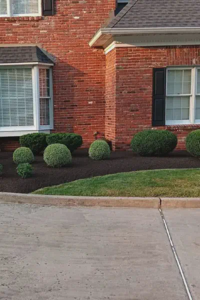 Our Work