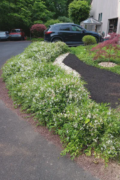 Our Work