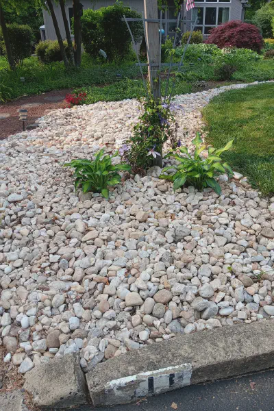 Our Work