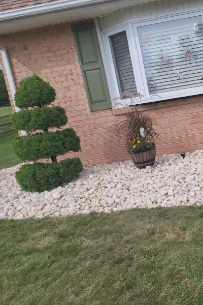Our Work