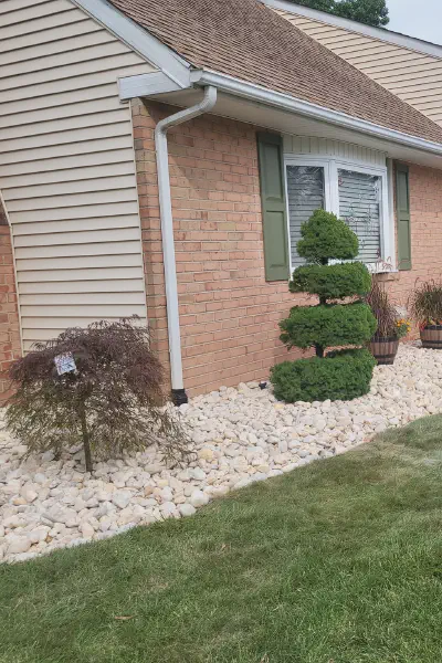Our Work