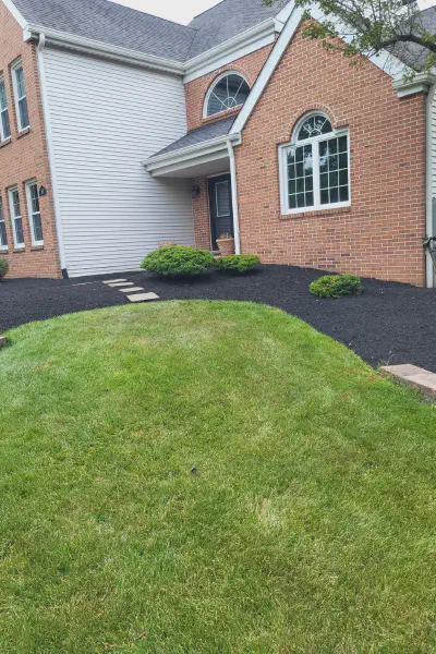 Our Work