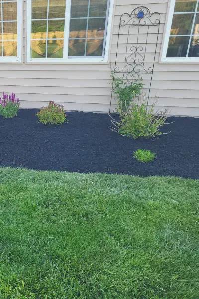 Our Work