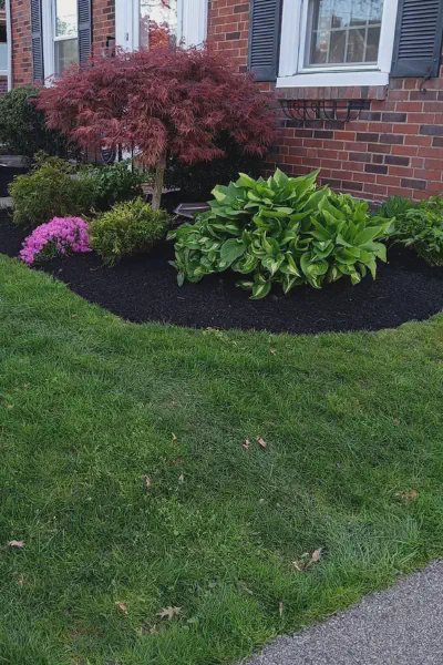 Our Work