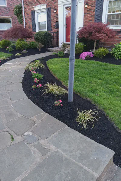 Our Work