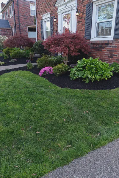 Our Work