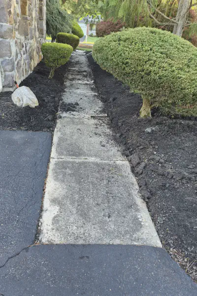 Our Work