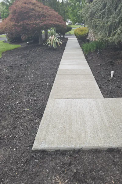 Our Work
