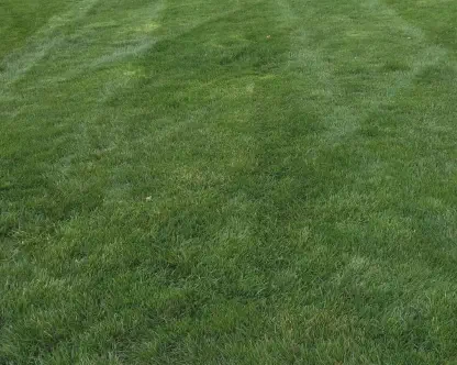 Sod installation