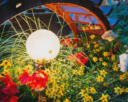 Landscape Lights