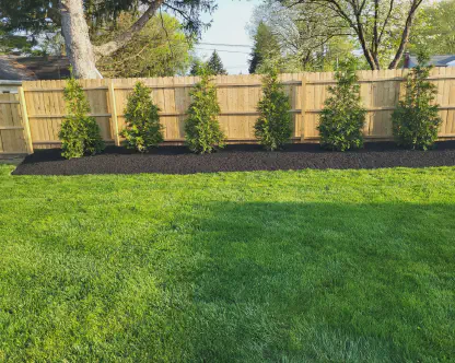 Lawn Mowing